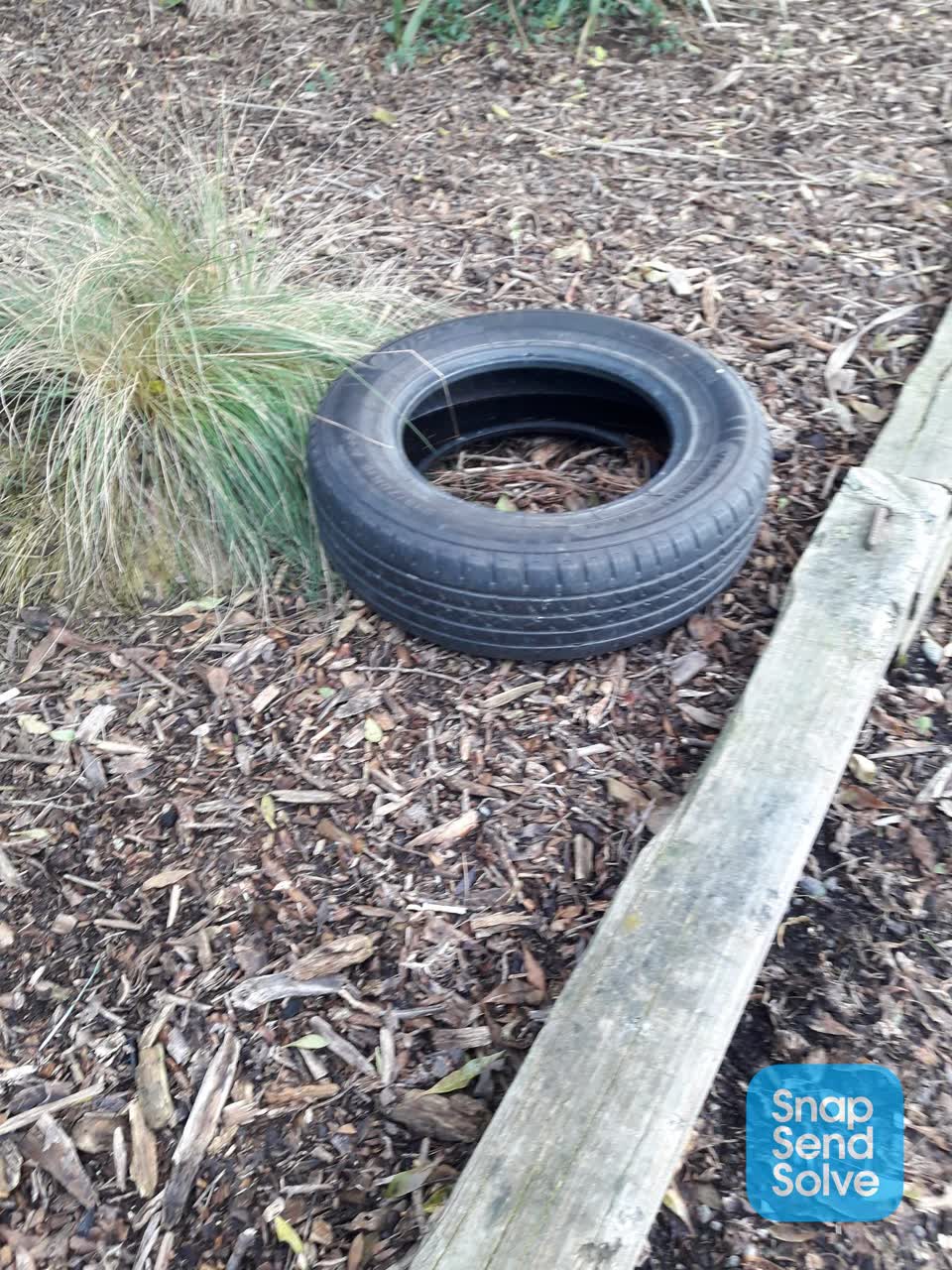 The photograph attached to this dumped rubbish report