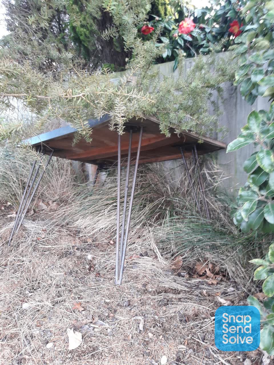 The photograph attached to this dumped rubbish report