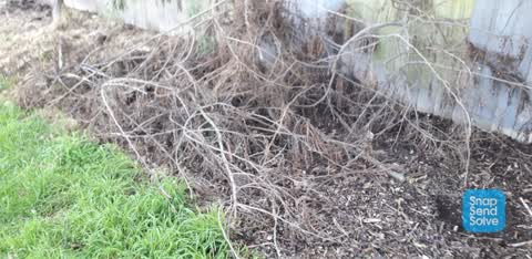 Dumped Rubbish — a report photo