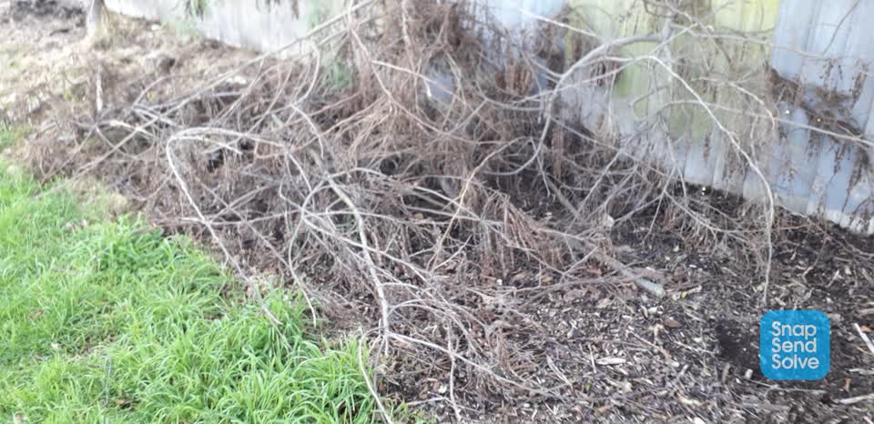The photograph attached to this dumped rubbish report