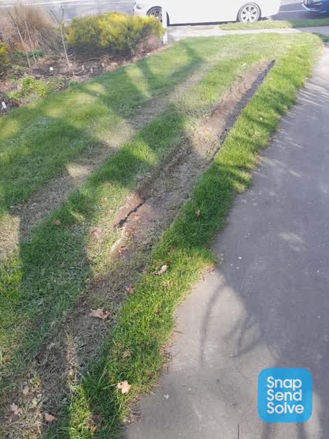 Park - General Request — a report photo