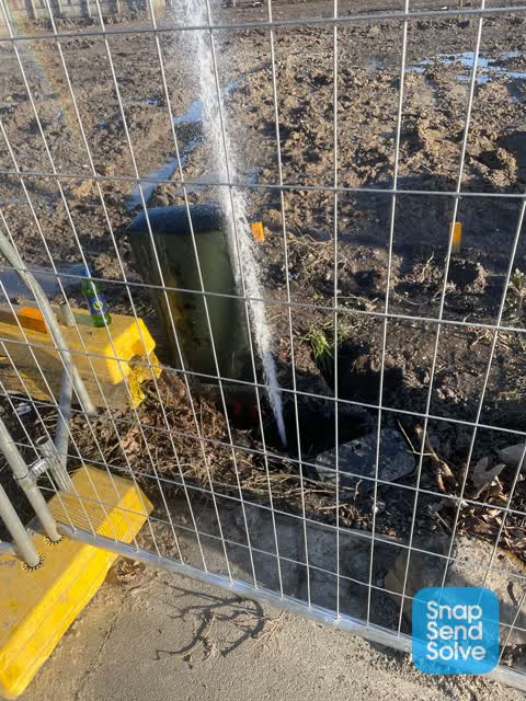Water Leak, a report photo