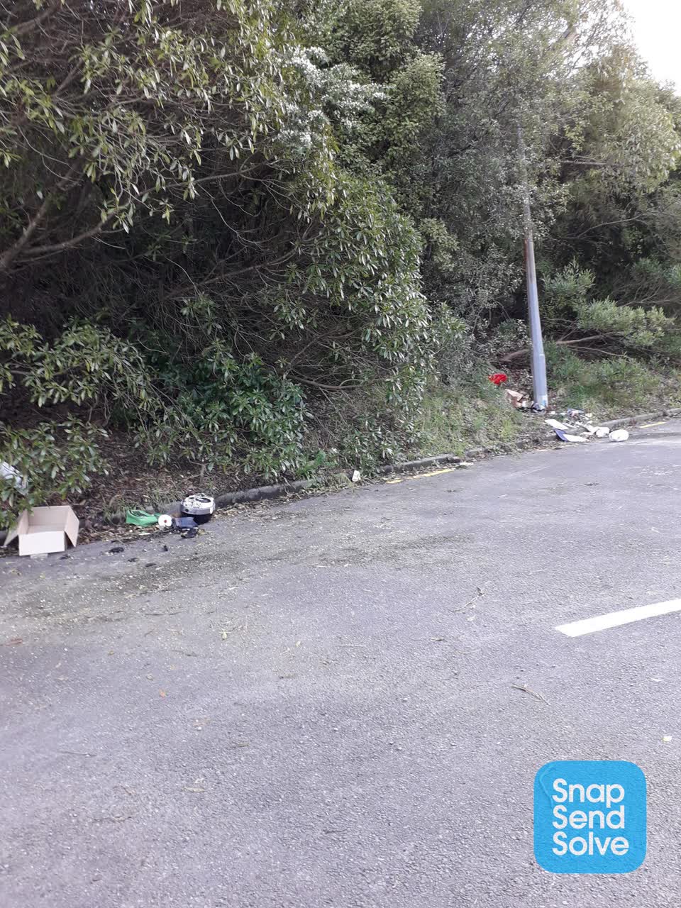 The photograph attached to this rubbish and bins - general report