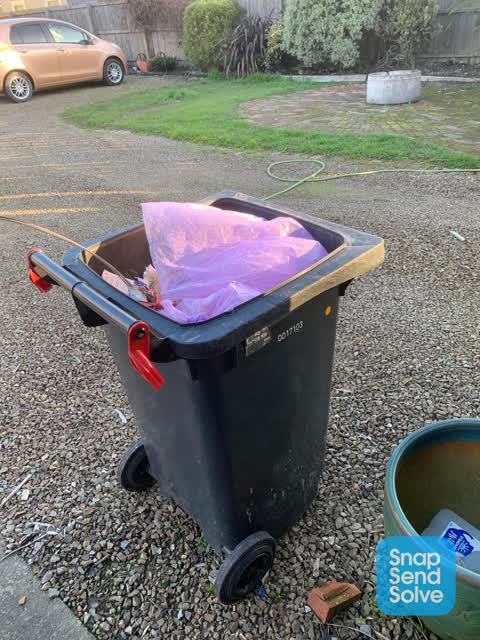 Rubbish and Bins - General, a report photo