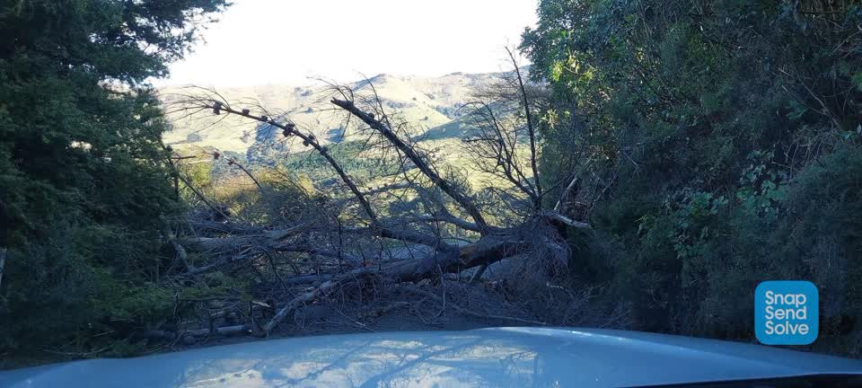 The photograph attached to this road blockage report