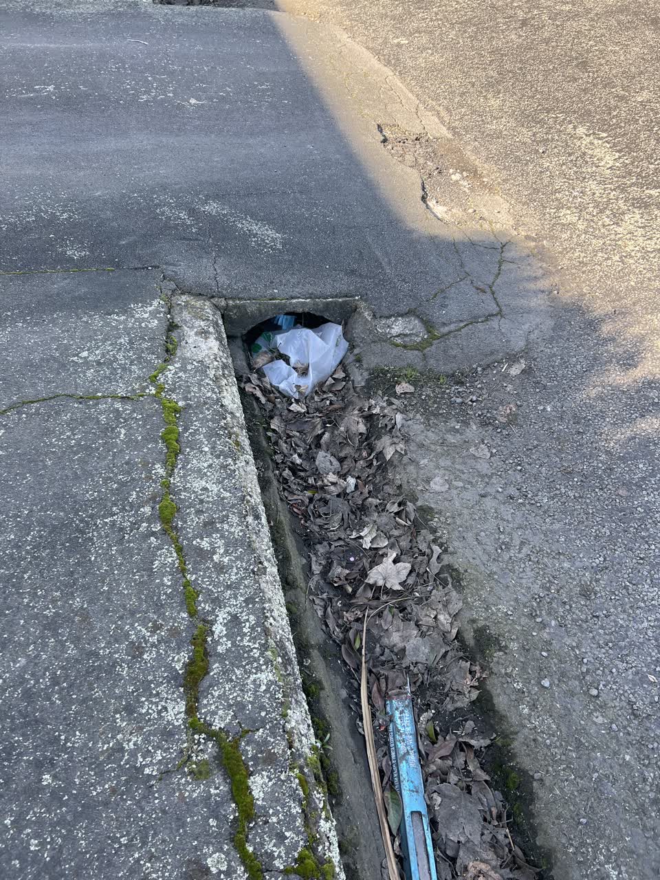 The photograph attached to this street gutters / storm water report