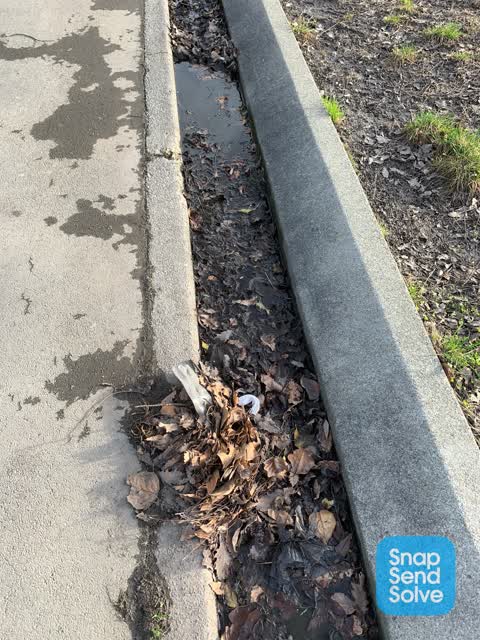 Street Gutters / Storm Water, a report photo