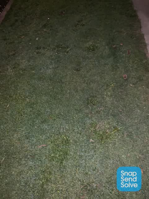 Water Leak, a report photo
