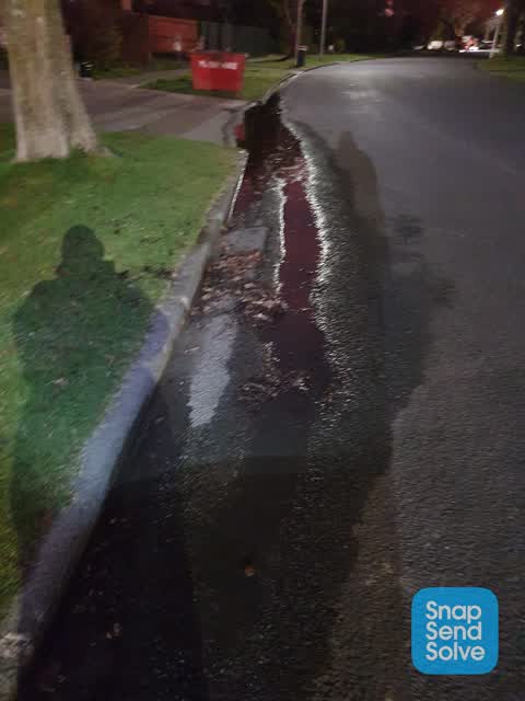 Water Leak, a report photo