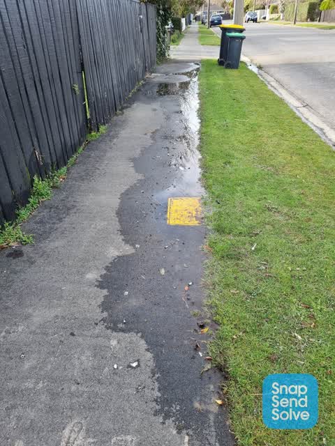 Water Leak, a report photo