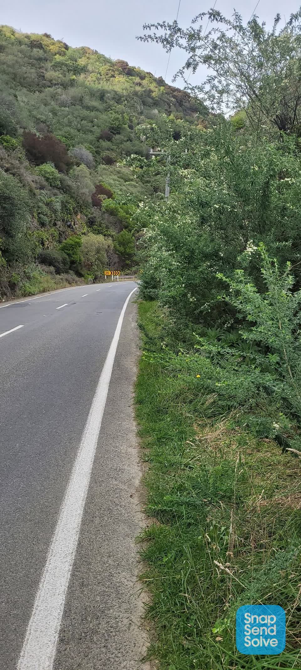 The photograph attached to this overgrown vegetation report