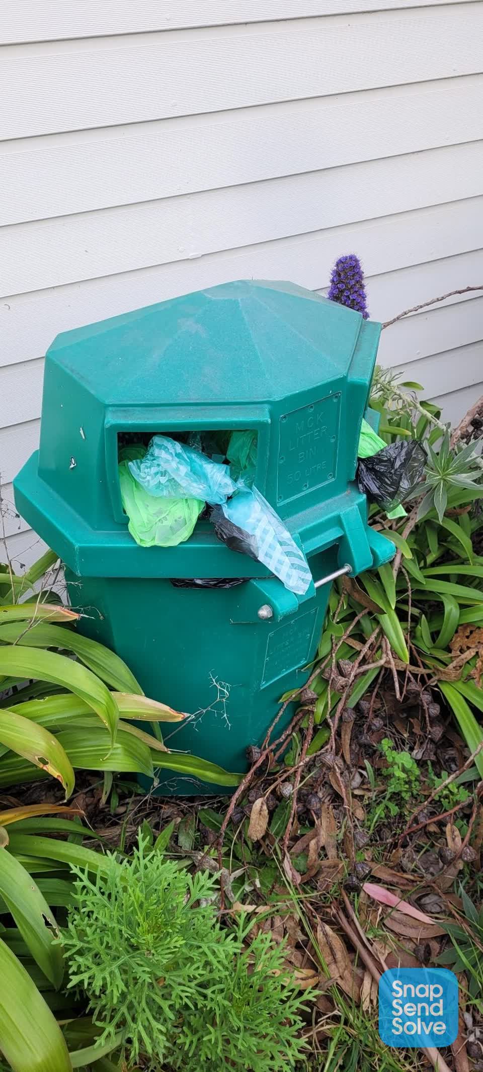 The photograph attached to this rubbish and bins - general report