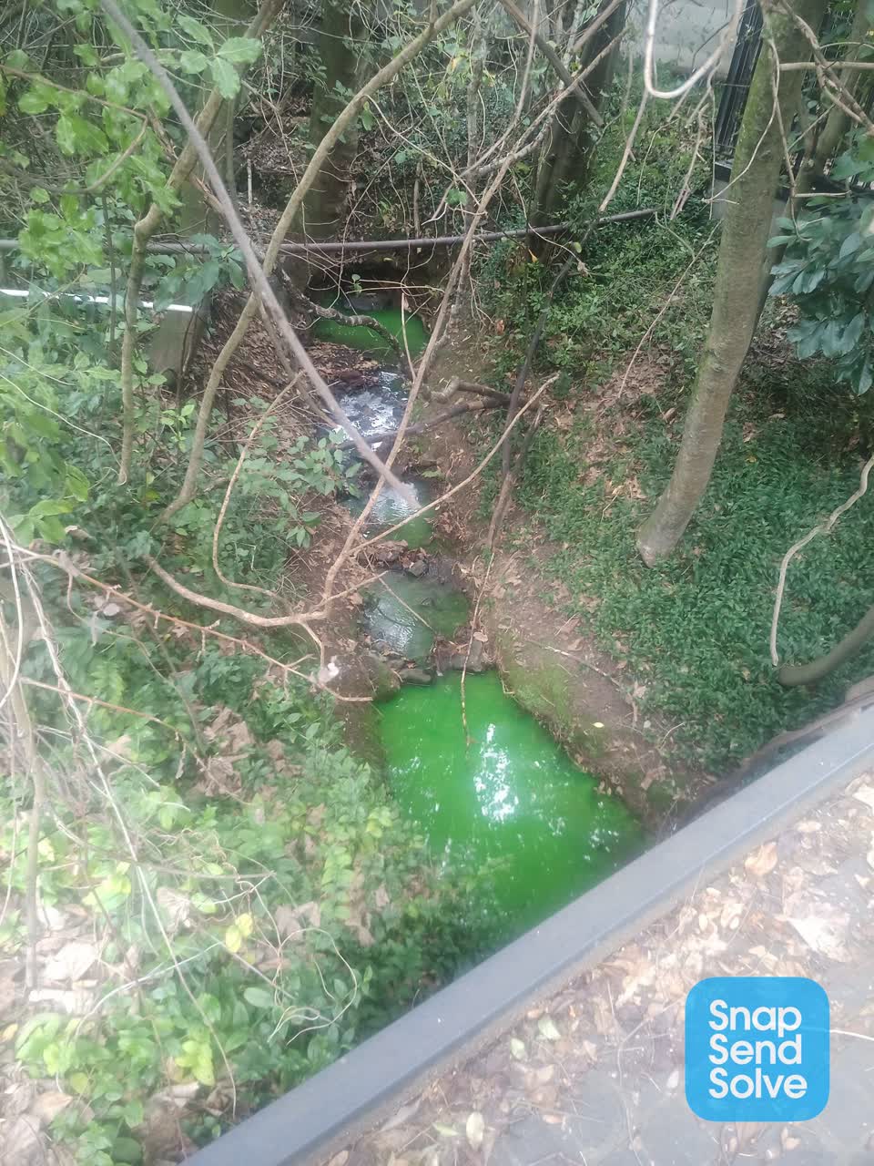 The photograph attached to this pollution - general report