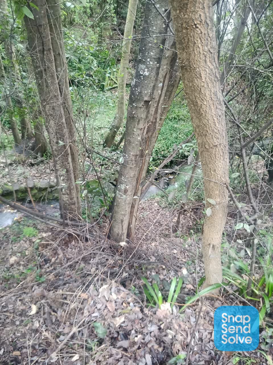The photograph attached to this pollution - general report