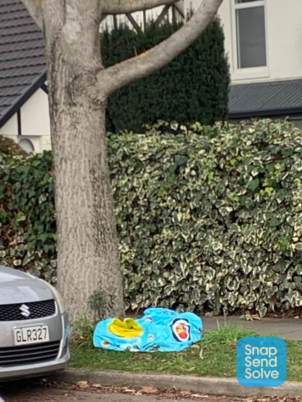 The photograph attached to this dumped rubbish report