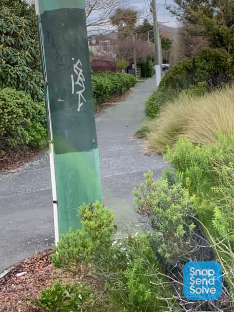Graffiti, a report photo