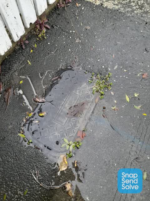 Water Leak, a report photo