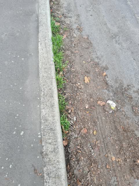 Street Gutters / Storm Water, a report photo