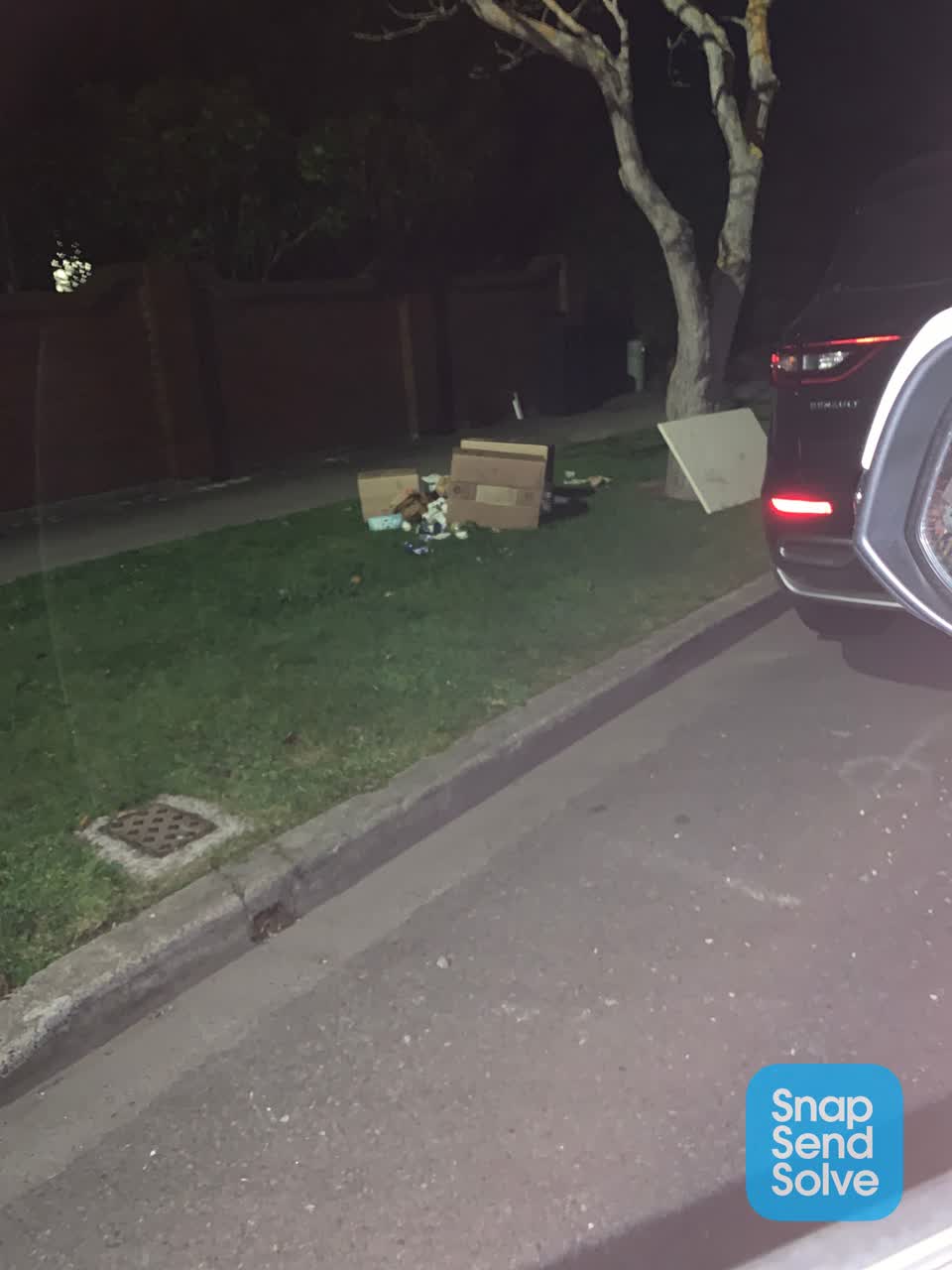 The photograph attached to this litter report