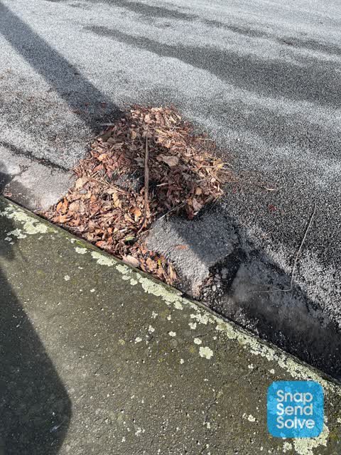 Sewer - Leak / Blockage — a report photo