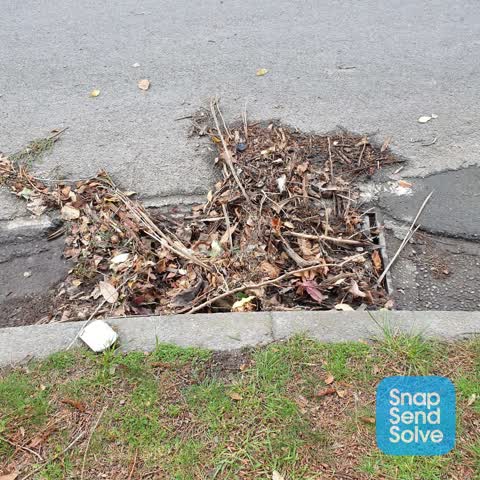 Street Cleaning, a report photo