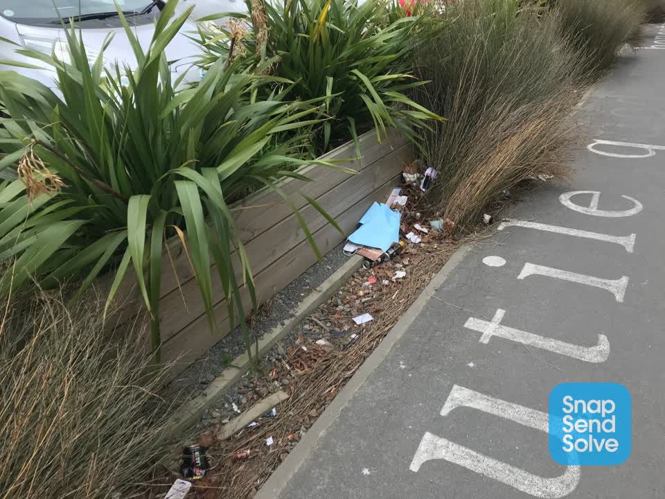 The photograph attached to this litter report