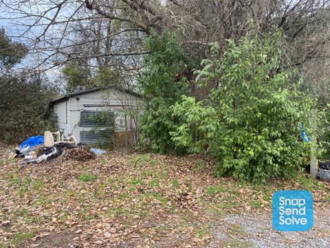 Overgrown Vegetation — a report photo