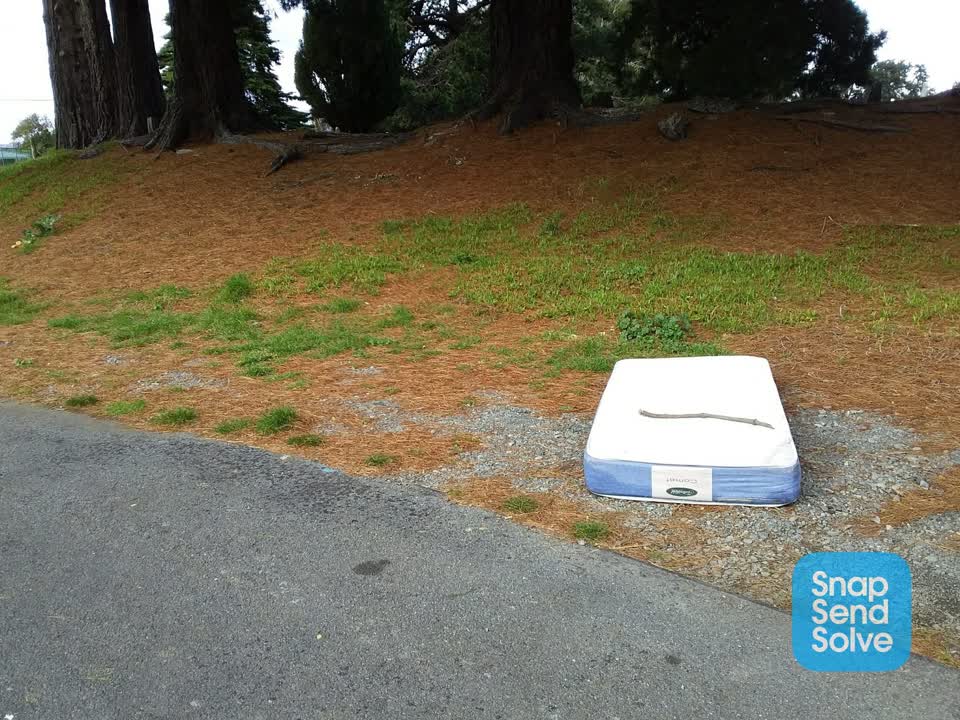 The photograph attached to this dumped rubbish report