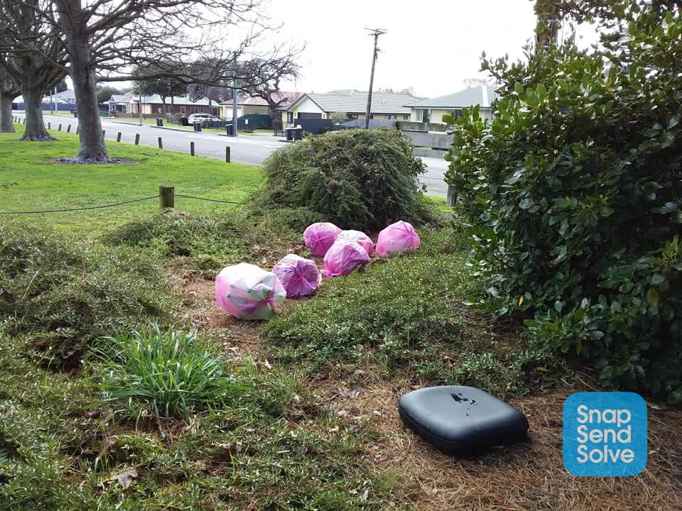 The photograph attached to this dumped rubbish report