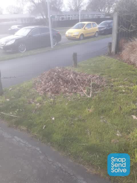 Park - General Request, a report photo