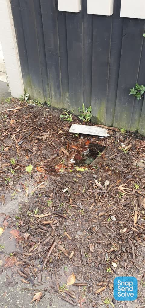 Water Leak, a report photo