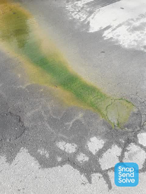 Water Leak, a report photo