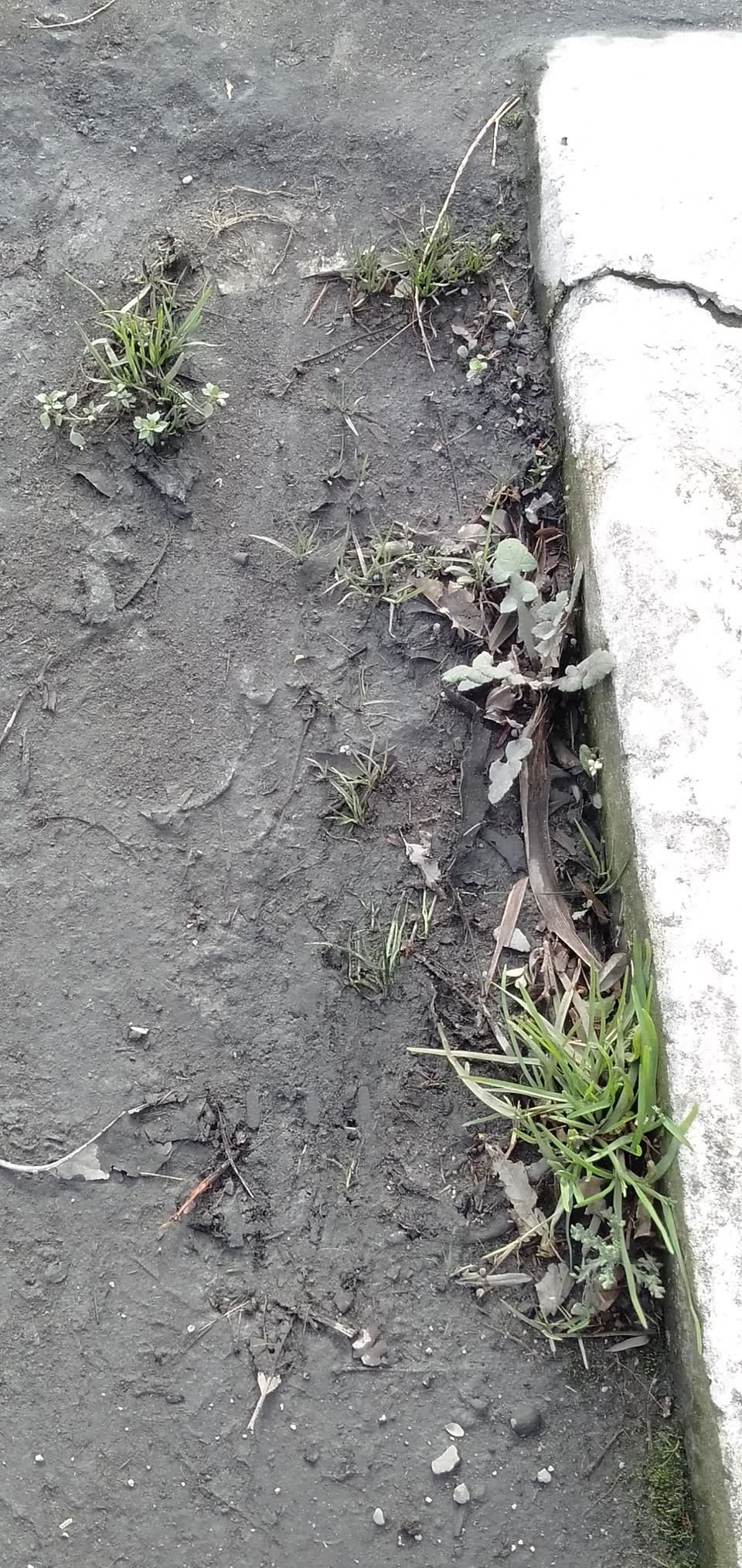 The photograph attached to this water general report