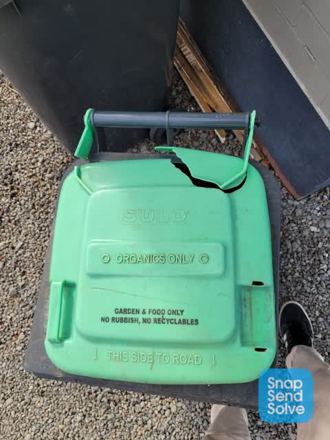 Rubbish and Bins - General, a report photo