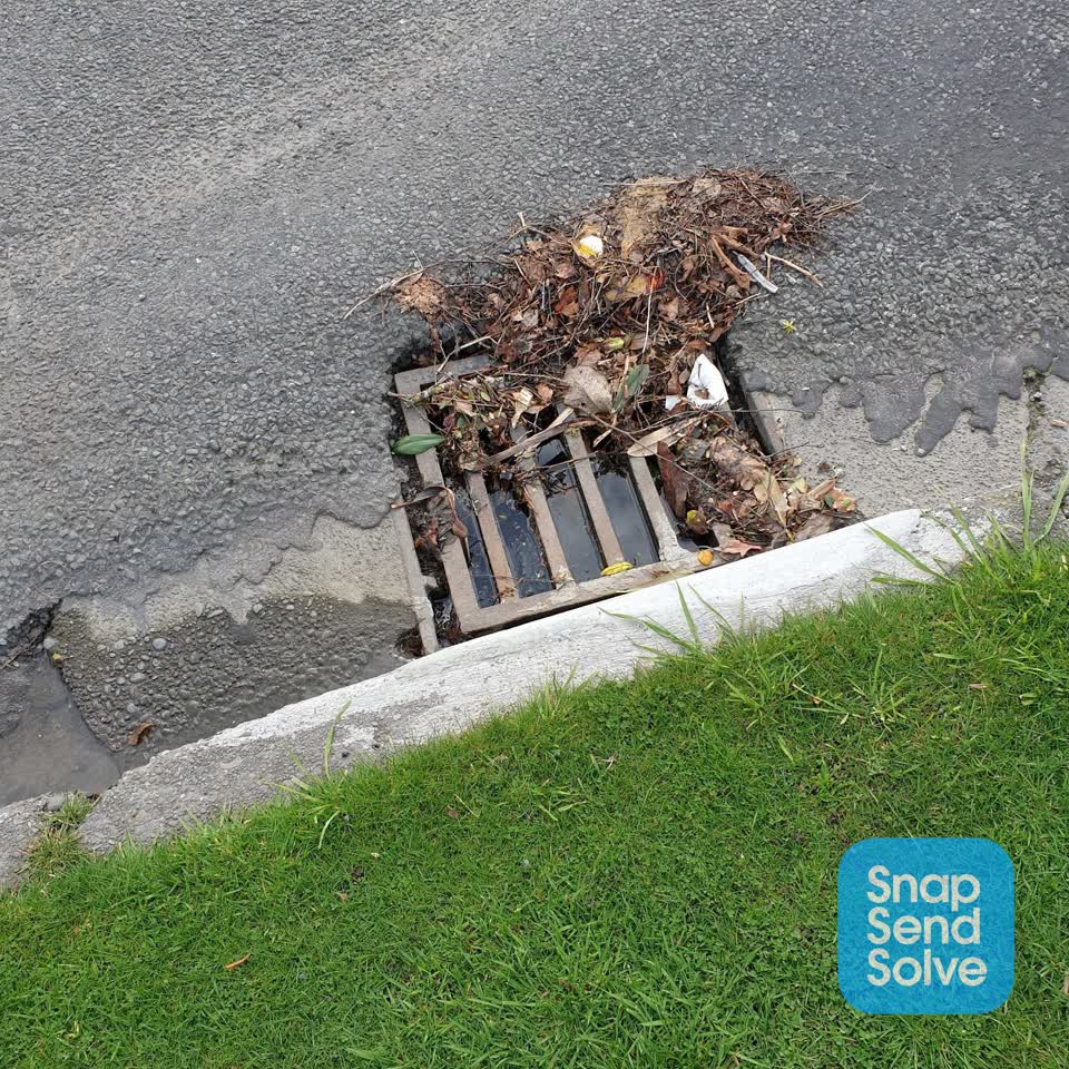 The photograph attached to this street cleaning report