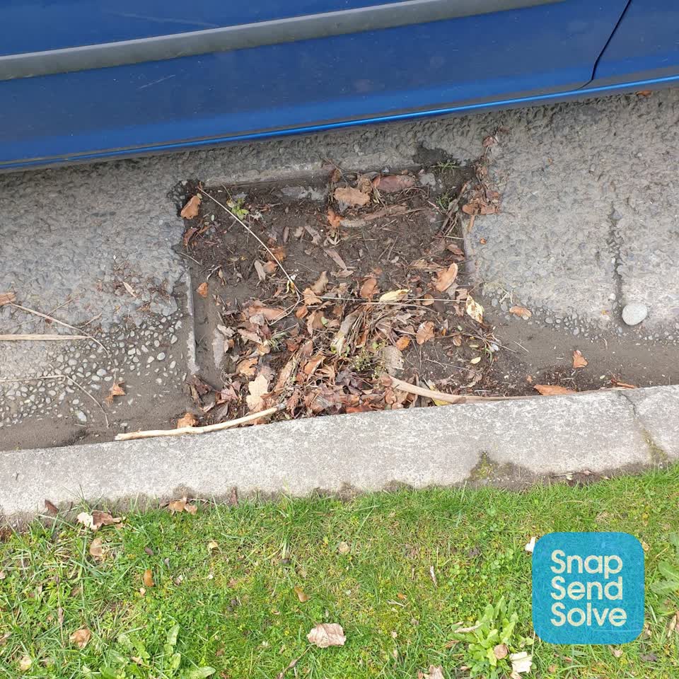 The photograph attached to this street cleaning report