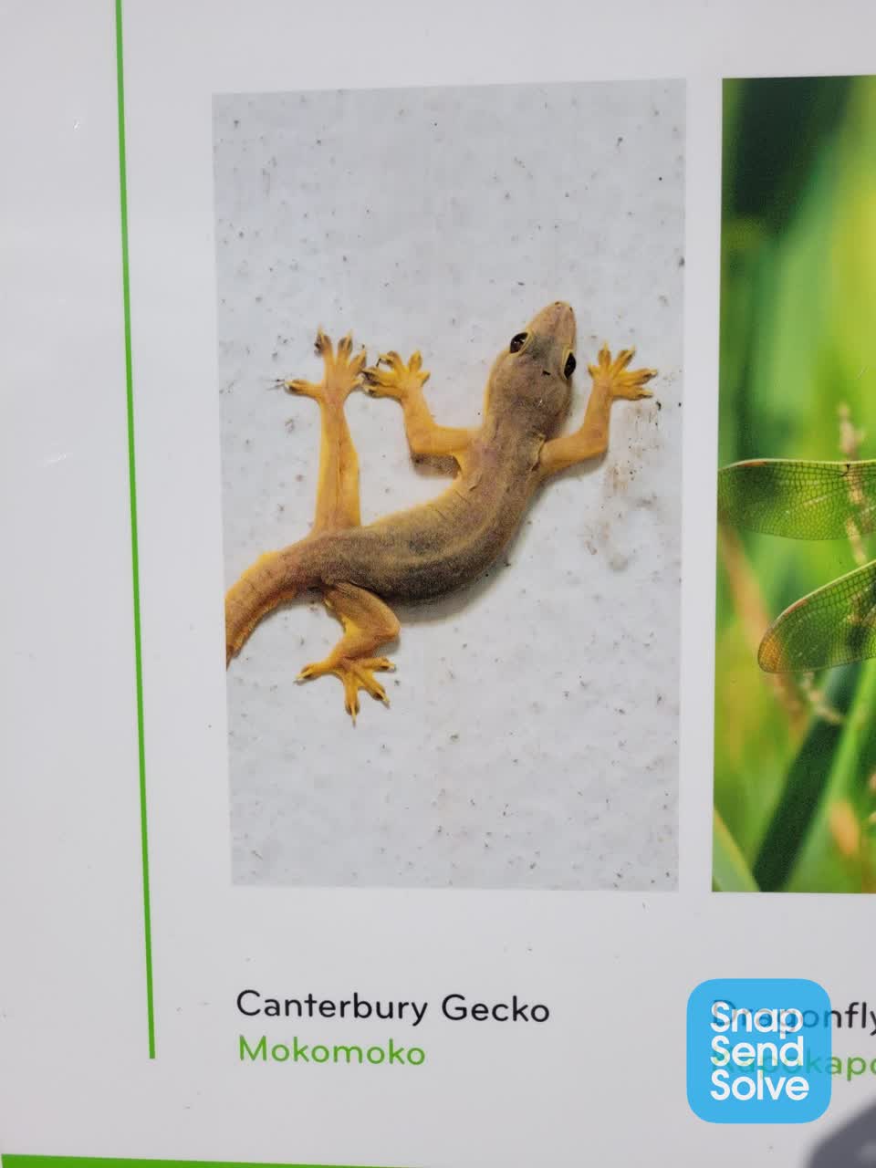 The photograph attached to this general request report
