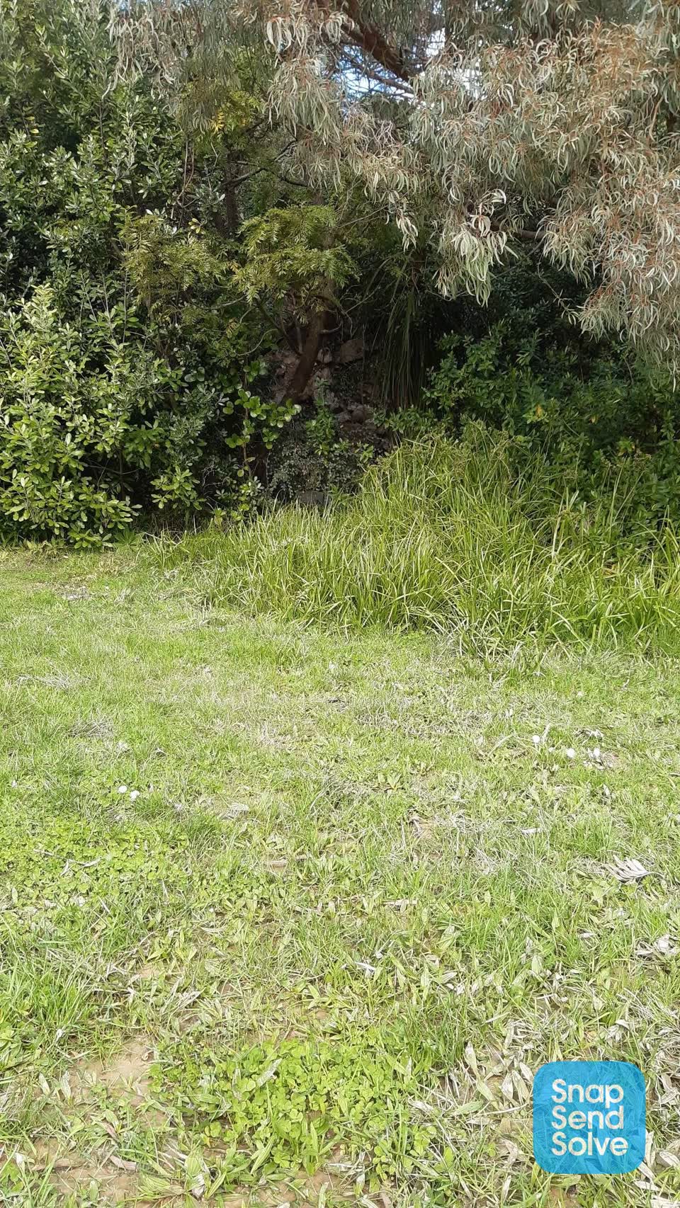 The photograph attached to this park - general request report
