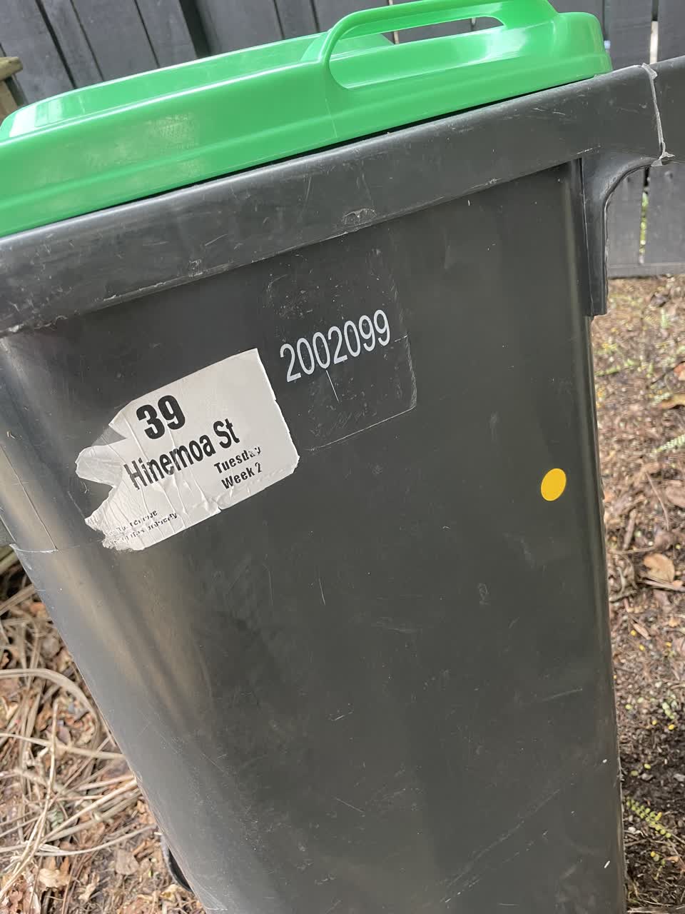 The photograph attached to this rubbish and bins - general report