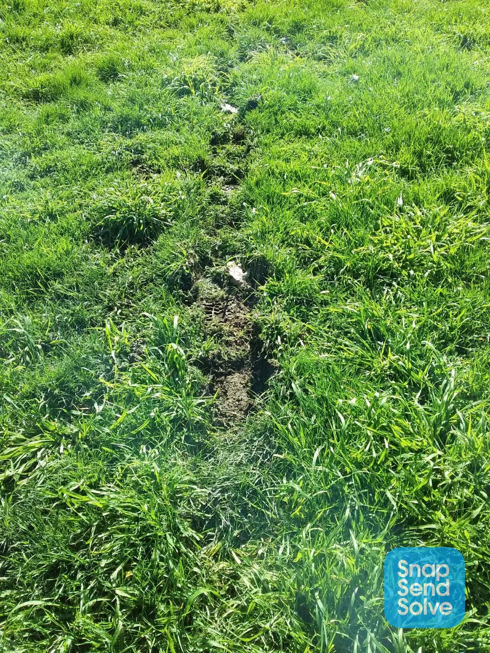 The photograph attached to this park - general request report