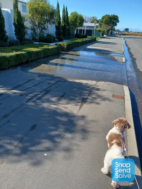 Water Leak, a report photo