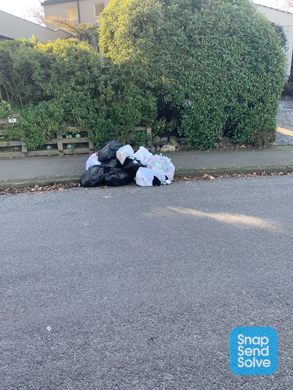 The photograph attached to this dumped rubbish report