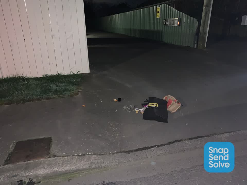 The photograph attached to this litter report