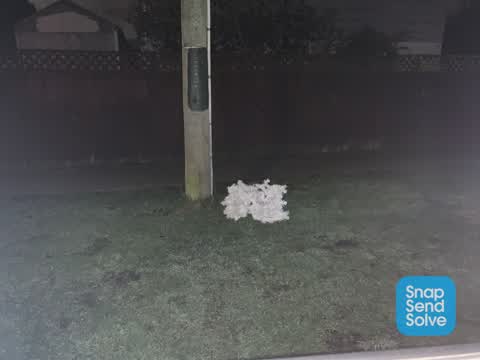 Dumped Rubbish, a report photo