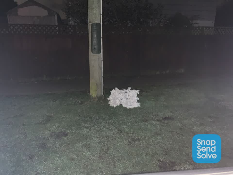 The photograph attached to this dumped rubbish report