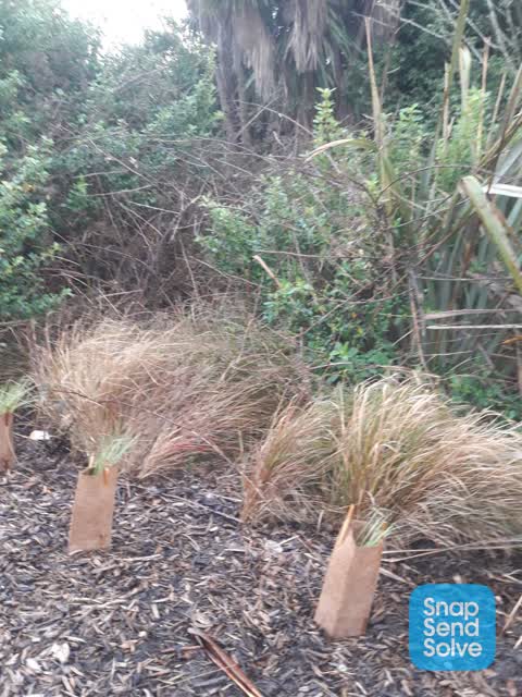 Park - General Request — a report photo