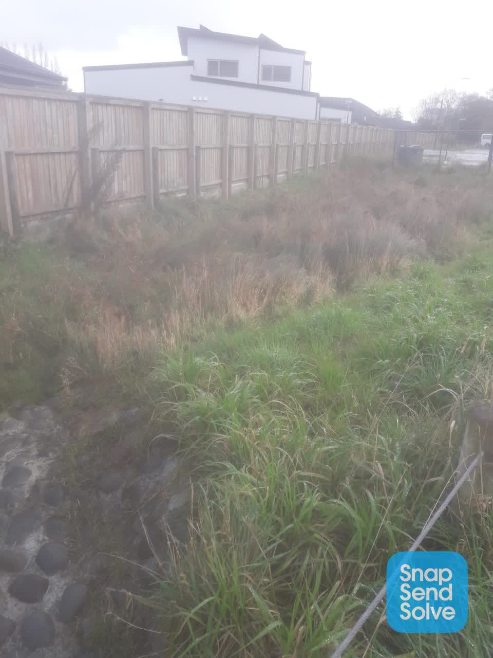 The photograph attached to this overgrown vegetation report
