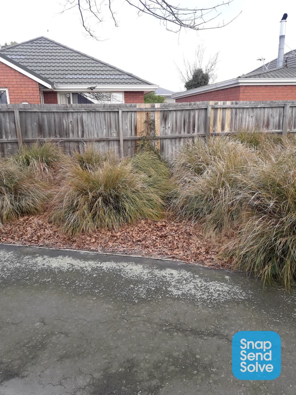 The photograph attached to this park - general request report