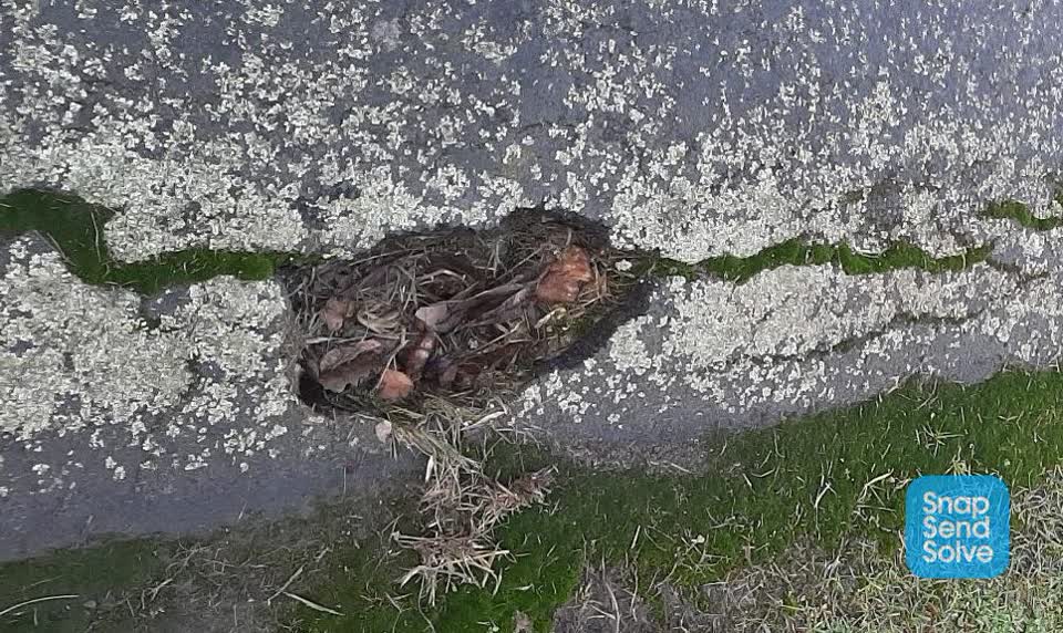 The photograph attached to this pavement - damaged report