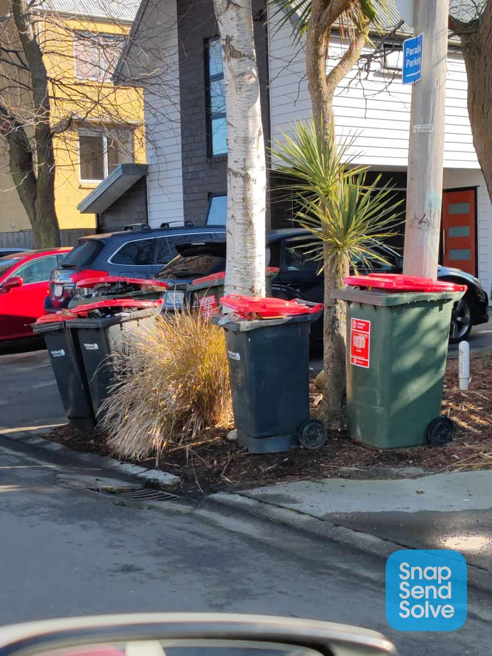 The photograph attached to this rubbish and bins - general report
